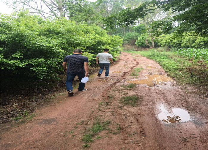 1558168370151472.jpg 圖片2_副本.jpg