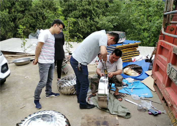 1558421164197746.jpg 圖片11_副本.jpg