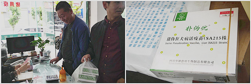 1558421671738923.jpg initpintu_副本3.jpg